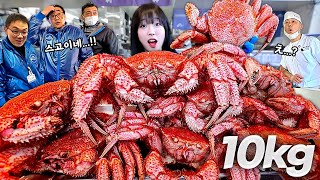 삿포로1탄) 총 xxx만원..😱 털게 11마리 10KG 털었습니다! 일본 수산시장 초토화