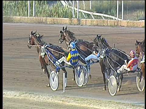 Trotto 14/07/2017 - 1ª corsa