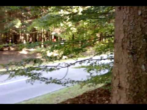 Bergrennen Mickhausen 2009 Formel3000 Fausto Bormolini Great Sound