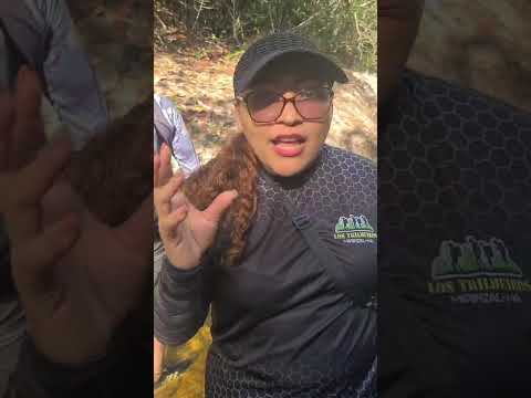 trilha da capivara em mirinzal Maranhão