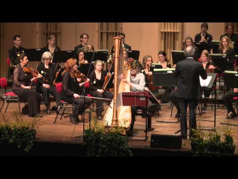Dutch Harp Competition 2014: Markus Thalheimer