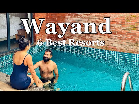 Best Resorts in Wayand | Pool villa in Wayand | Pet Friendly resorts | Resorts in Kerala 