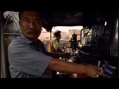 India: Running out of Steam (part 3) - The Little Tibetan Terrier