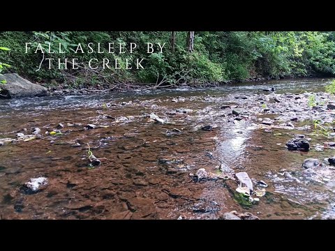 relax by the creek and sleep with sounds of nature