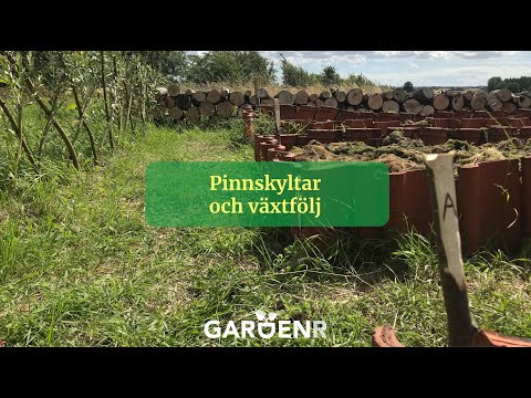 Växtskyltar och växtföljd - Trädgårdshacks med GardenR