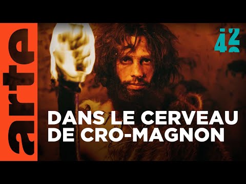 Cro-Magnon était-il plus bête que nous ?
