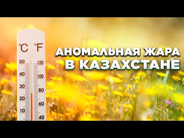 Новости. Выпуск от 11.07.2023 г.