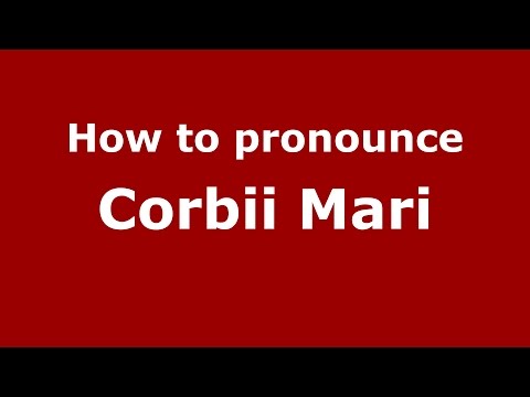 How to pronounce Corbii Mari