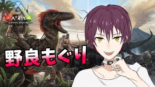 売れすぎて発売1週間で1000万くらい売れた伝説のサバイバルゲーム『ARK: Survival Evolved』実況【Vtuber】漂流1日目