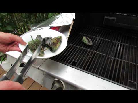 download lagu mp3 mp4 Cooking Poblano Peppers On The Grill, download lagu Cooking Poblano Peppers On The Grill gratis, unduh video klip Cooking Poblano Peppers On The Grill