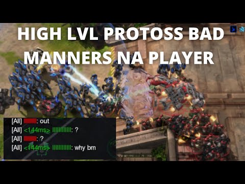 Grudge Match vs High Level BM Protoss | Mind of Migs Ep#6