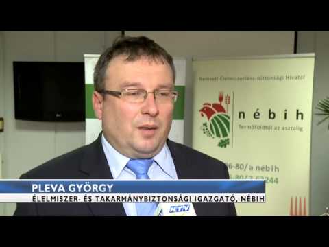 Budai Híradó - 2015. április 1.