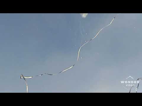 "Noche AlbiVerdeâ—Los Devotos//D.Temuco Vs Huachipato //09/02/19//" Barra: Los Devotos &bull; Club: Deportes Temuco