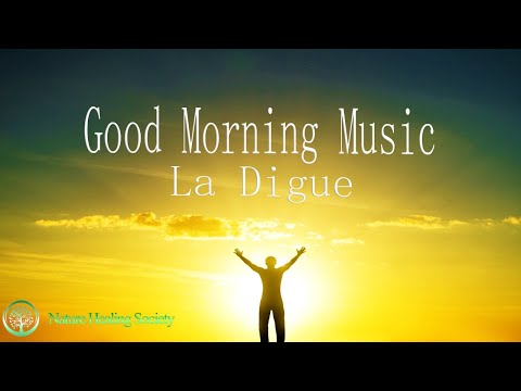 THE BEST GOOD MORNING MUSIC 💖 528Hz Meditation Music For The Soul & Mind - Flying Above La Digue