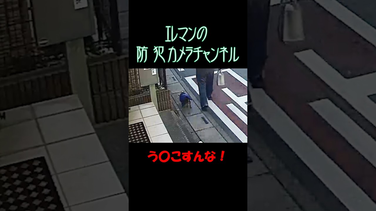 うんこしてるから今はマジ無理