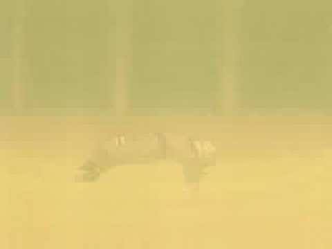 Naruto vs Sasuke-Re-Write