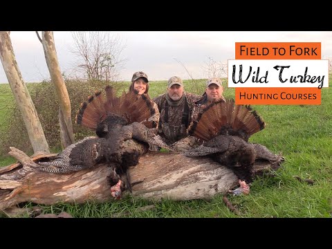 Field to Fork - Wild Turkey Hunting Courses