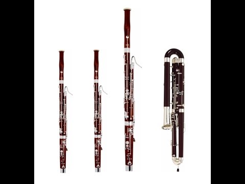 The Missing Bassoon