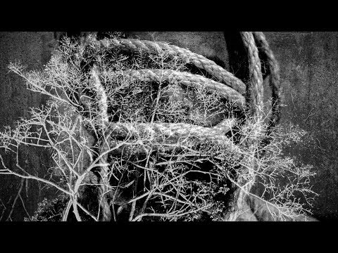 The Baggios - Soledad  (Clipe Oficial)