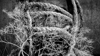 Video Soledad  de The Baggios