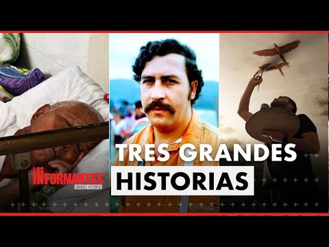 Los Informantes: Ancianos olvidados, el rastro de Pablo Escobar y la magia del arte selvático