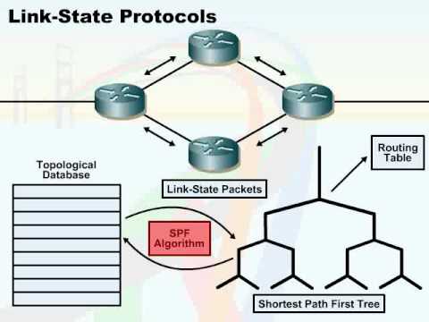 218   18  Routers   10  Link State Protocols