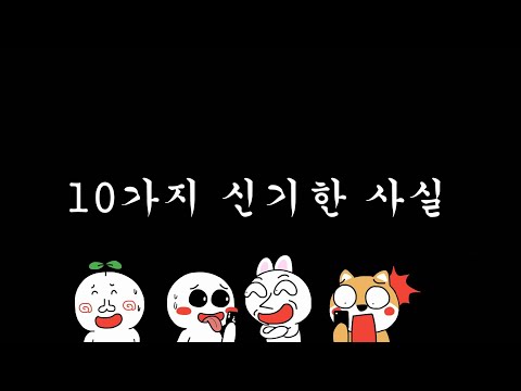 10가지 당신이 몰랐던 신기한 사실