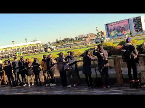 【ジャパンカップ】2021.11.28 コントレイル最後のレース