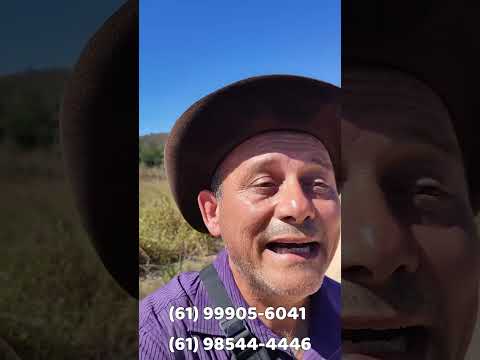 🚨 EXCELENTE FAZENDA À VENDA EM PADRE BERNARDO – GOIÁS 🚨