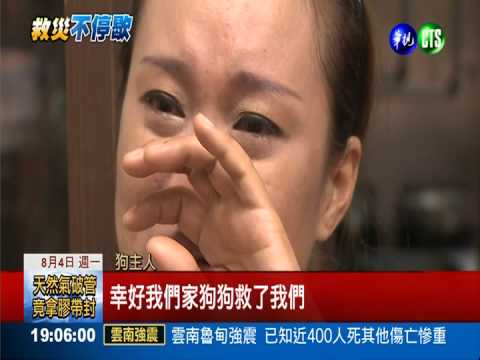 氣爆前"福氣"狂吠 救拉麵店夫婦
