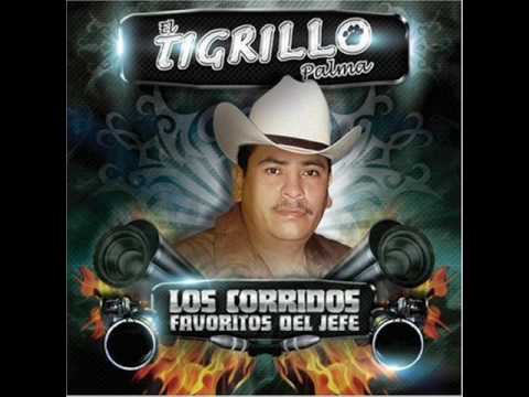 EL TIGRILLO PALMA -LOS CHIQUINARCOS
