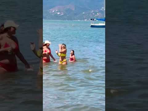 São Sebastião Total Norte de São Paulo #shorts