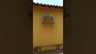 Treviso 044