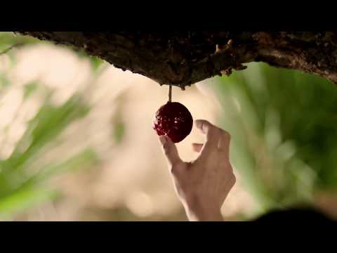 Trailers The Sin