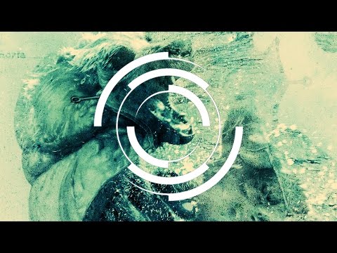 Black Sun Empire & State Of Mind - Until The World Ends Ft. PNC