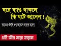 ঘরে ব্যাঙ থাকলে কি ঘটে জানেন! ব্যাঙ দিয়ে কি ঔষধ হয় ! ব্যাঙ স্বপ্ন দেখা | ৫ টি প্রাণী মারা নিষেধ