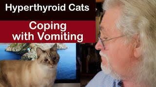 Hyperthyroid Cats: Coping with Vomiting