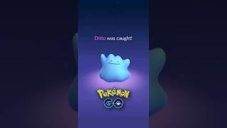 How to Catch DITTO (JUNE 2024)