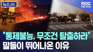 "통제불능, 무조건 탈출하라"..말들이 뛰어나온 이유 [뉴스.zip/MBC뉴스]