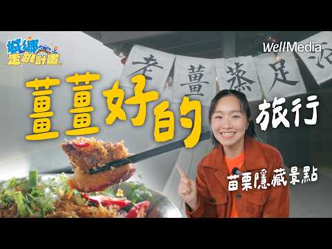 苗栗大湖隱藏景點!「薑麻園」深度遊:採薑、美食、薑足浴一次滿足【城鄉走跳計畫】
