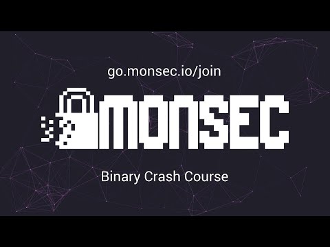 Binary Crash Course - MonSec (24/08/2020) Sem 2 Week 4 Workshop