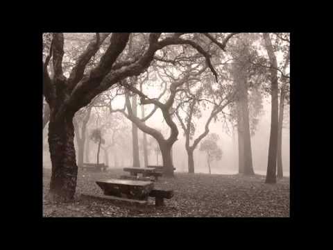 Só - Com Adriana Maciel & Zeca Baleiro