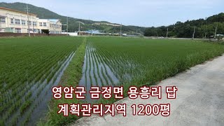 부동산경매 - 전남 영암군 금정면 용흥리 답