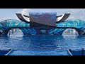 SeaWorld Orlando Orca Encounter Show Finale 4K 08 25 21