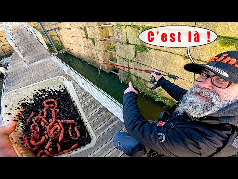 Cet homme me montre comment pêcher les Gros Poissons en ville ! J'hallucine en voyant le résultat !