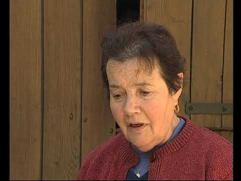 Jol pont d'a Mirabèl…