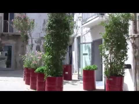 Favara Farm Cultural Park - Plants and flowers