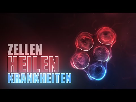 How cells heal diseases! (Animation)