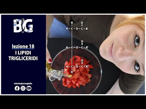 LIPIDS - triglycerides