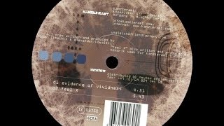 Double X - Evidence Of Vividness